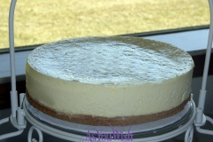 Plain Cheesecake sm