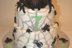 Spider cake sm