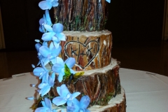 Tree Trunk Wedding Cake sm