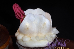 Brachiopod sm
