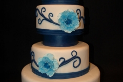 Blue wild Rose Front (1024x681)