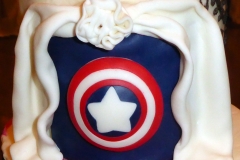 Marvel top crop sm